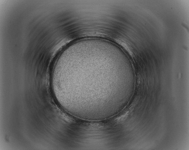 X0000091330979200708241156