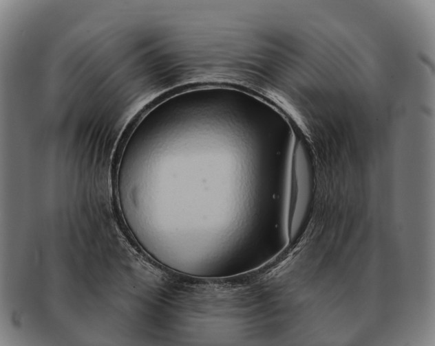 X0000091330980200708241156