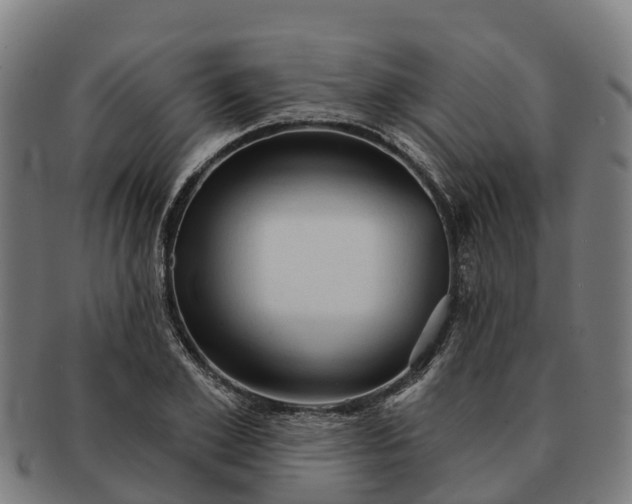 X0000091330981200708241156