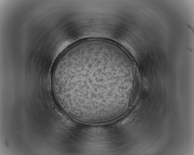 X0000091330982200708241156