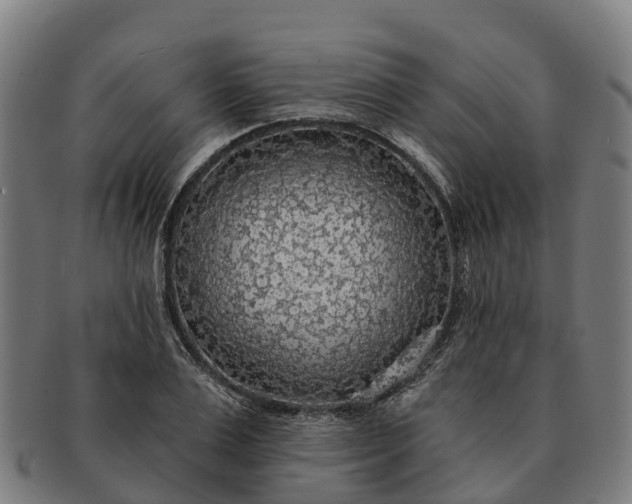 X0000091330983200708241156