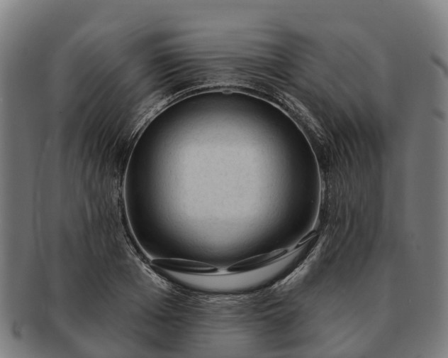 X0000091330985200708241156