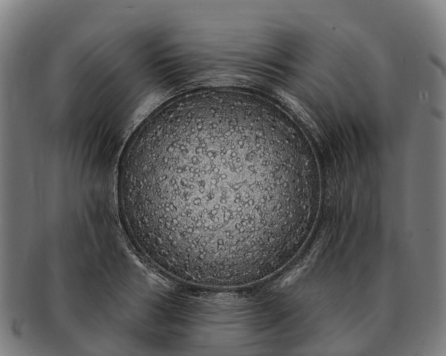 X0000091330986200708241156