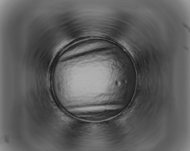 X0000091330987200708241156