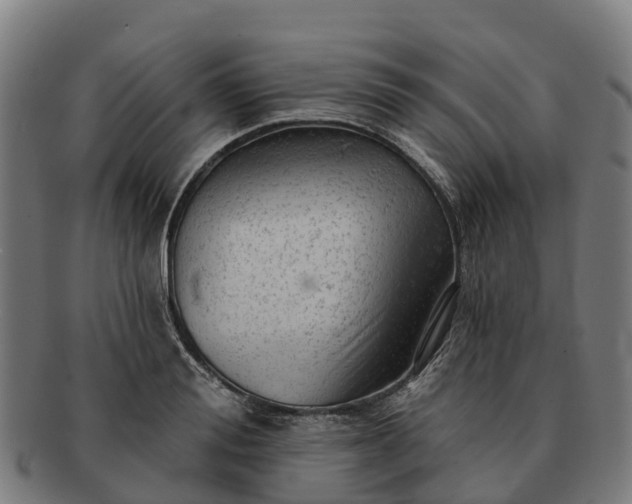 X0000091330988200708241156