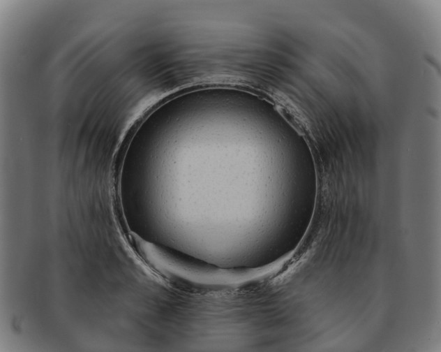 X0000091330989200708241156