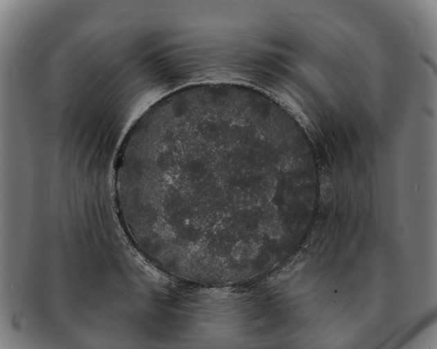 X0000091330990200708241156