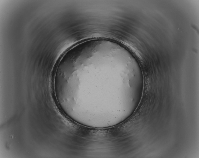 X0000091330991200708241156