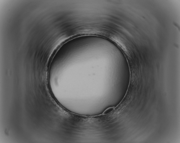 X0000091330992200708241156