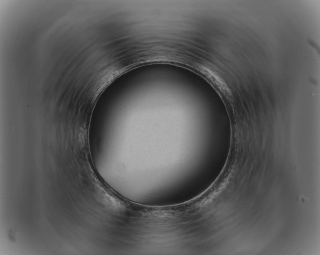 X0000091330993200708241156