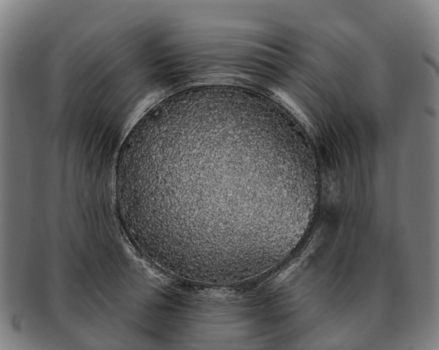 X0000091330994200708241156