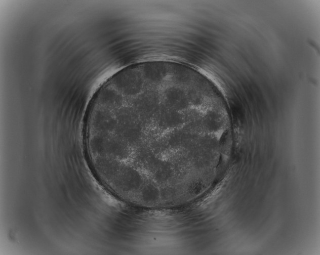 X0000091330995200708241156