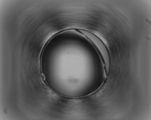 X0000091330996200708241156