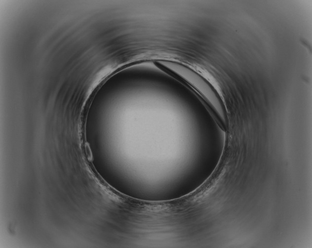 X0000091330997200708241156