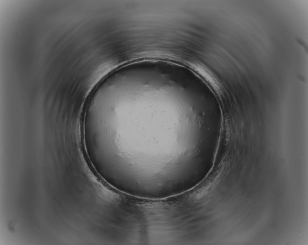 X0000091330999200708241156