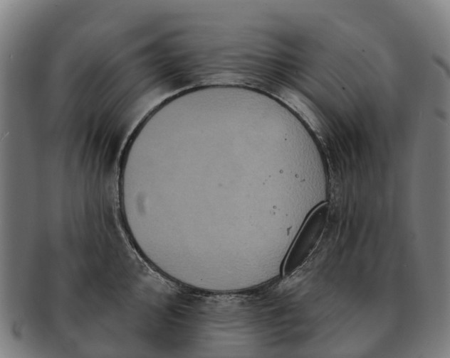 X0000091331000200708241156