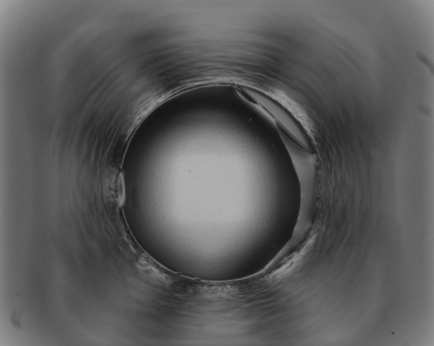 X0000091331001200708241156