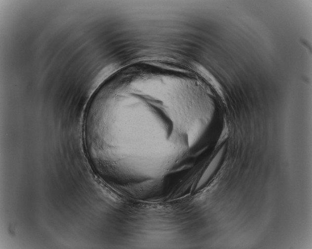 X0000091331002200708241156