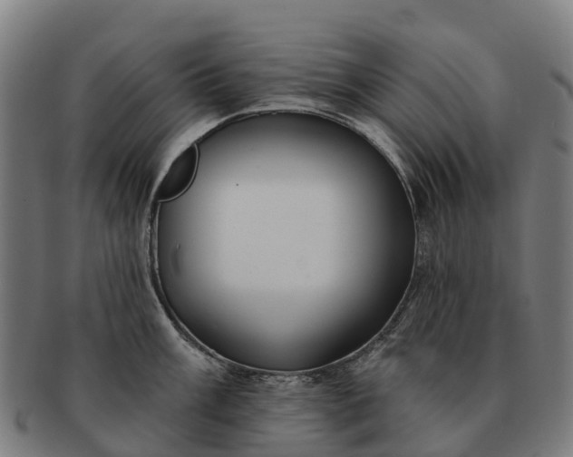 X0000091331003200708241156