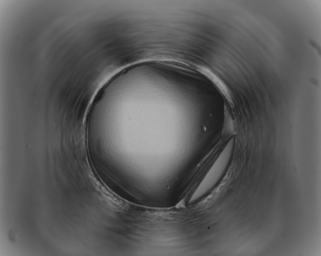 X0000091331004200708241156