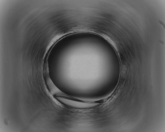 X0000091331005200708241156