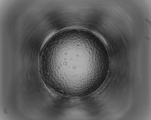 X0000091331006200708241156