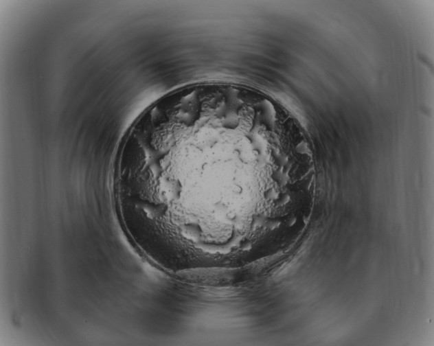 X0000091331007200708241156