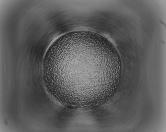 X0000091331008200708241156