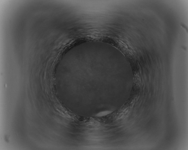 X0000091331009200708241155