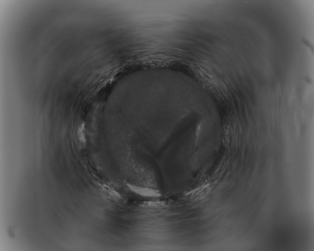 X0000091331010200708241155