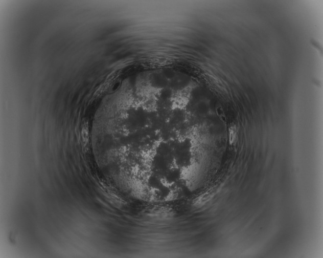 X0000091331011200708241155