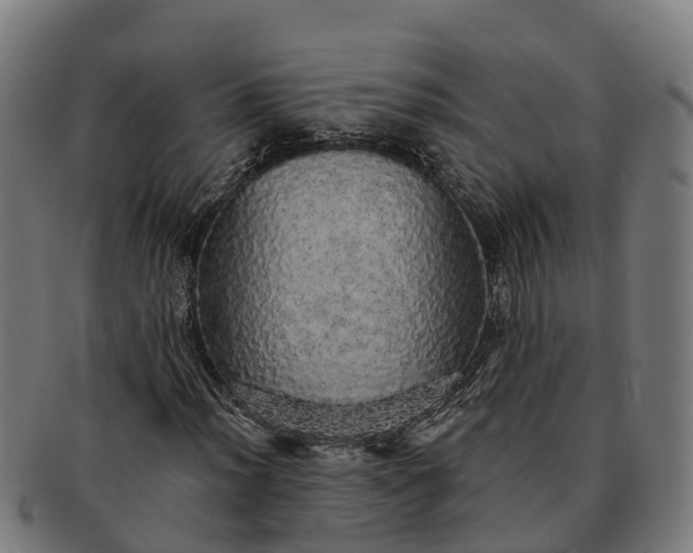 X0000091331012200708241155