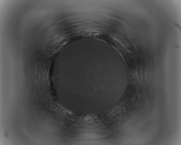 X0000091331013200708241155