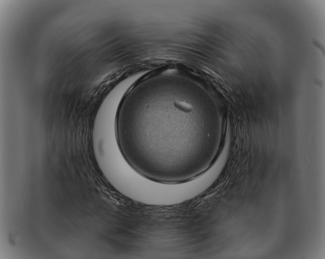 X0000091331014200708241155