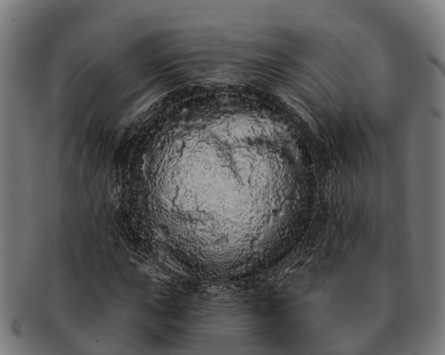 X0000091331015200708241155