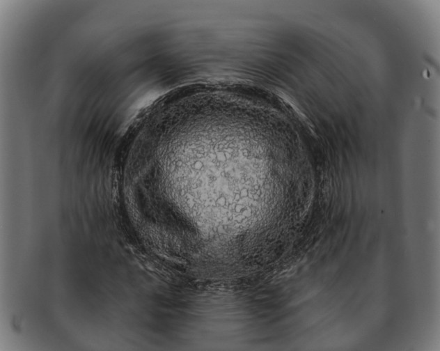 X0000091331016200708241155