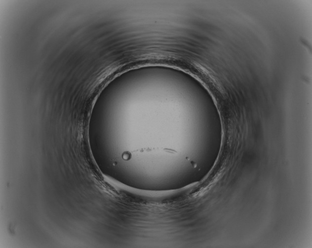 X0000091331017200708241155