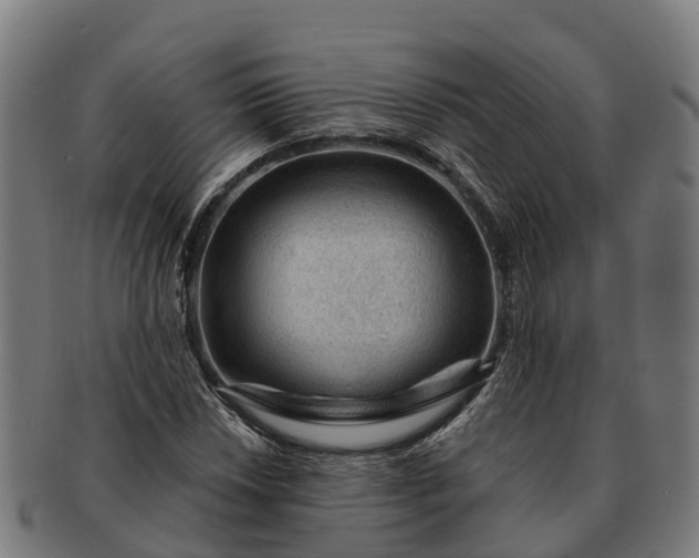 X0000091331018200708241155