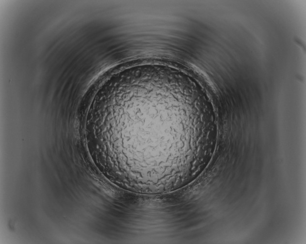 X0000091331019200708241155