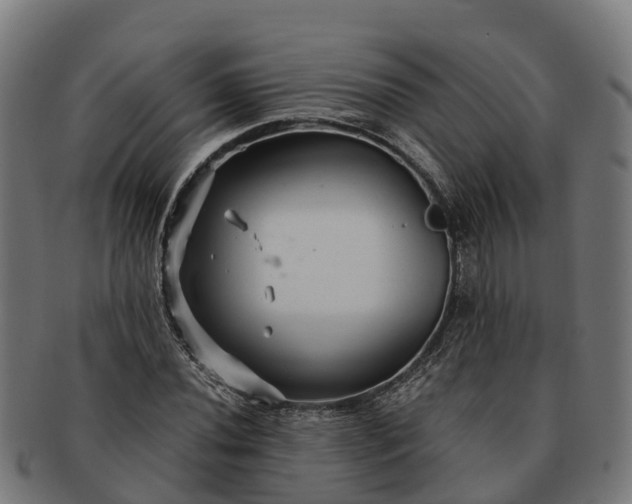 X0000091331020200708241155