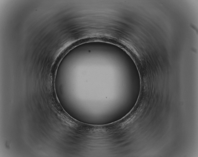 X0000091331021200708241155