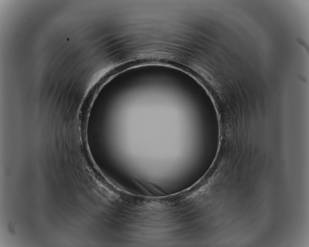 X0000091331022200708241155