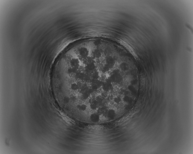 X0000091331023200708241155