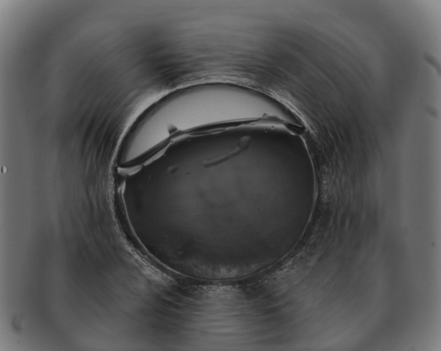 X0000091331024200708241155