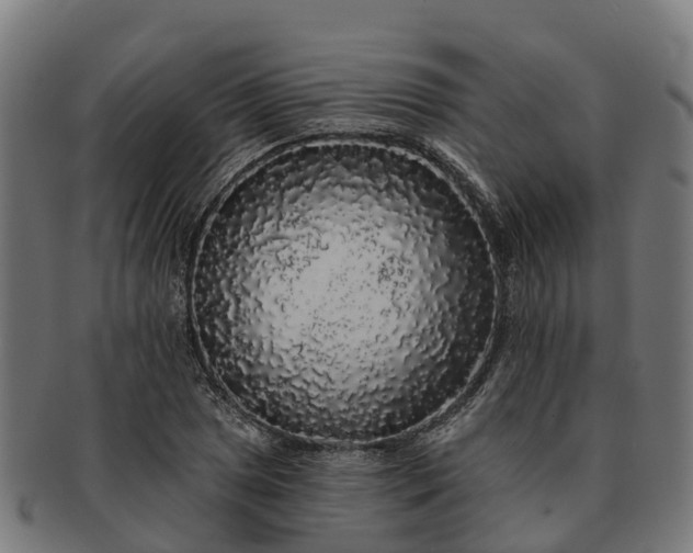 X0000091331025200708241155