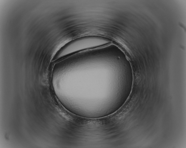 X0000091331026200708241155