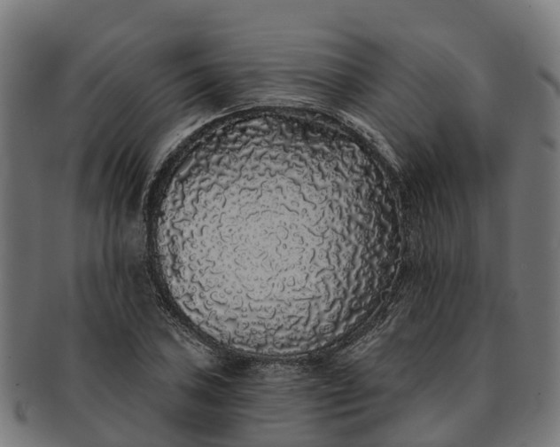 X0000091331027200708241155