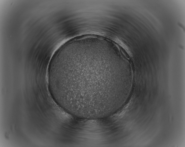 X0000091331028200708241155