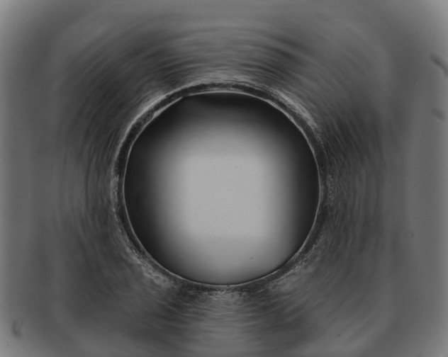 X0000091331029200708241155