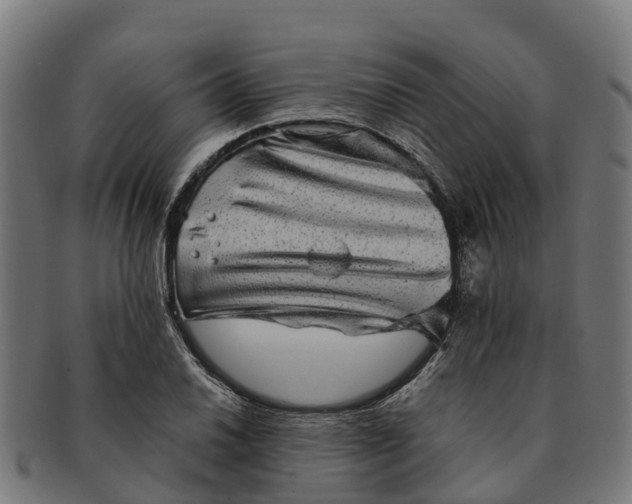 X0000091331030200708241155